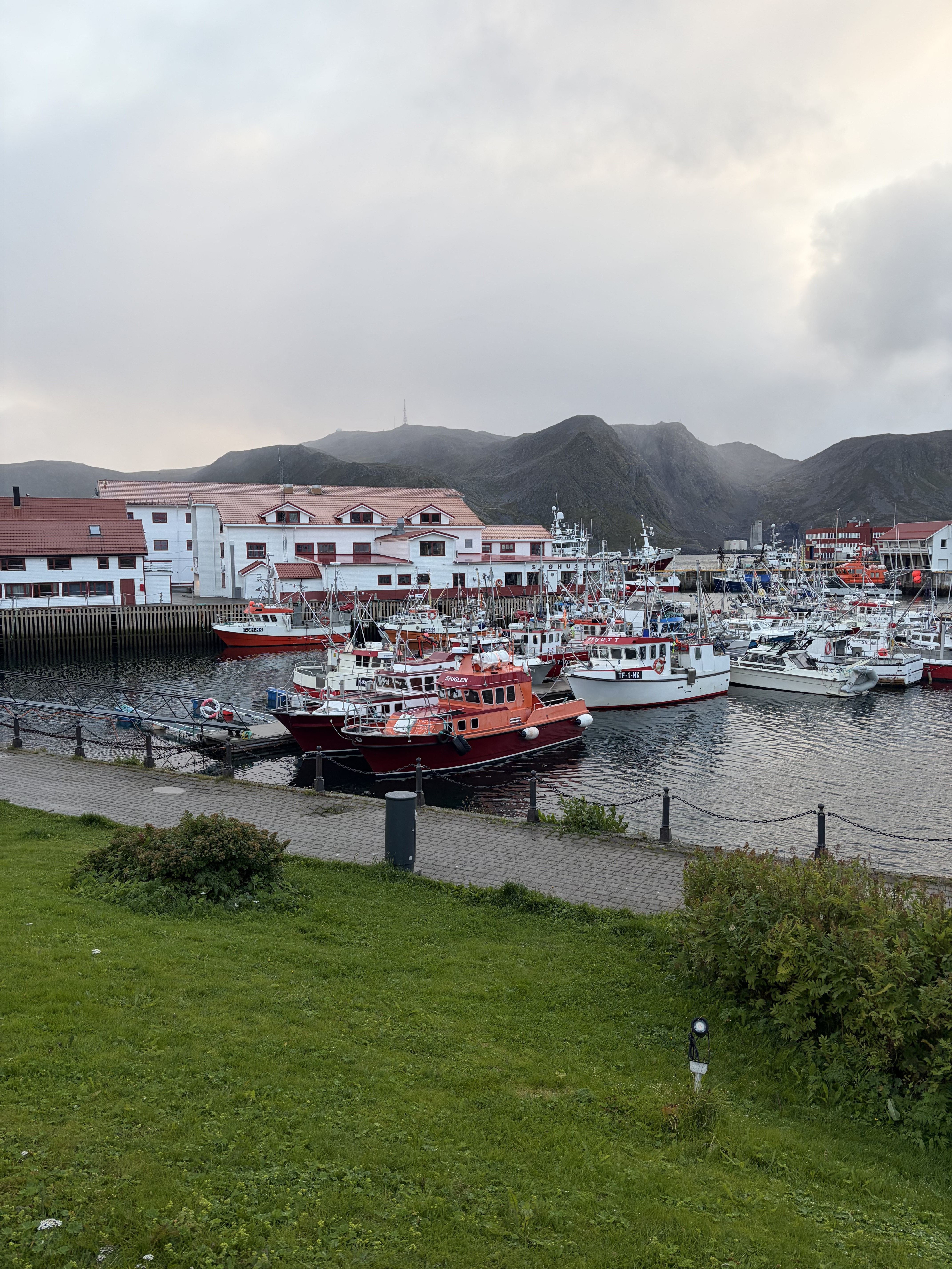 Kysthavn med kaier, fartøy og næringsbygg