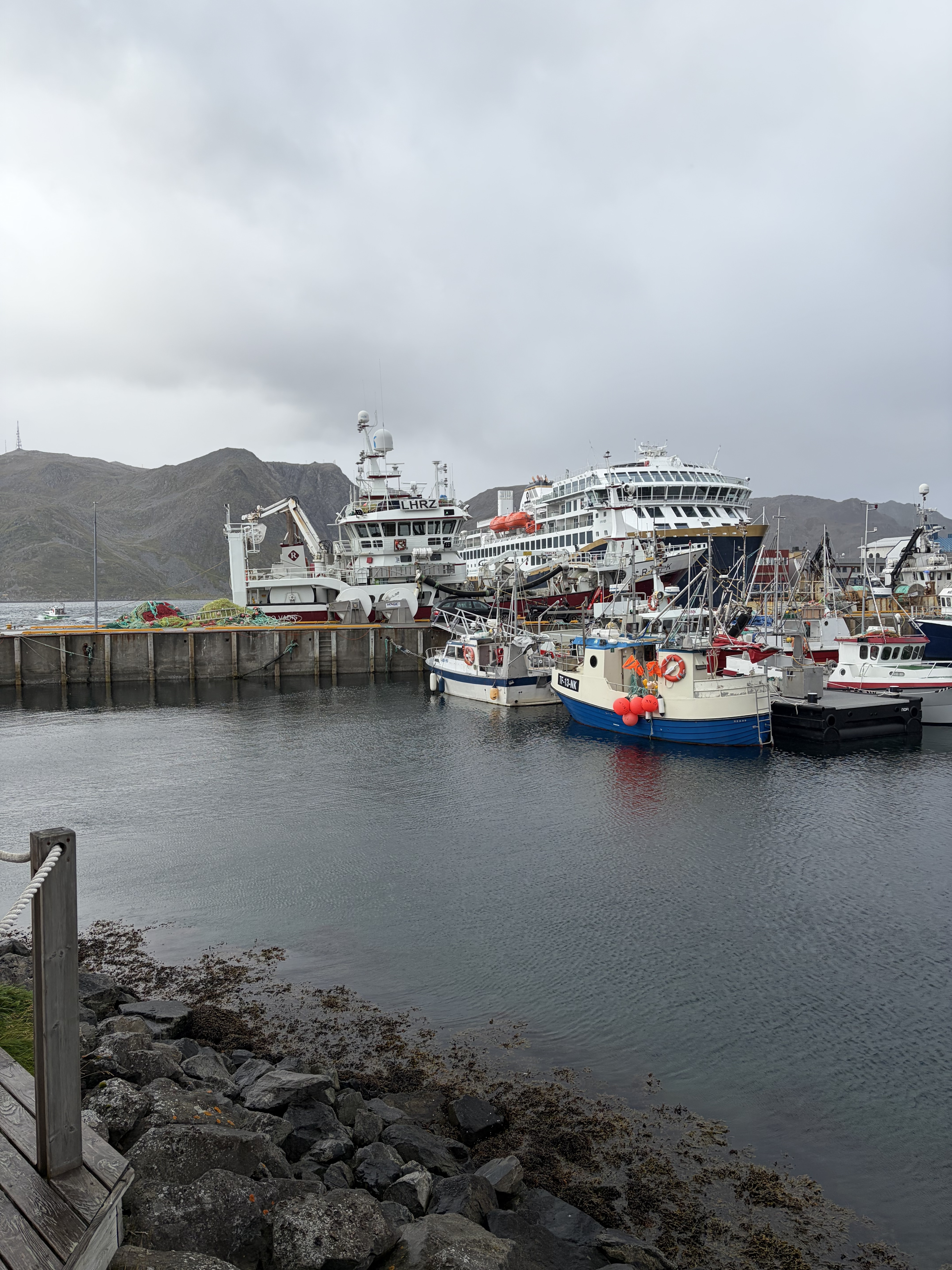 Fiskeflåte og større fartøy ved kai